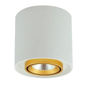 XENO Biało - Złota Downlight 10W 800lm 312037