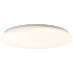 FARICA Lampa sufitowa Brilliant G97132/05