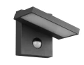 Kinkiet regulowany zewnętrzny HORTON LED Antracyt 8W 3000K Czujnik ruchu i zmierzchu Trio 226369142 | 4017807492354 noxbox lampynox www.lampynox.pl