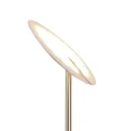 Lampa podłogowa stojąca mosiądz mat / czarny EDMONTON Trio 423010208 4017807478242 lampynox noxbox www.lampynox.pl