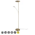 Lampa podłogowa stojąca mosiądz mat / czarny EDMONTON Trio 423010208 4017807478242 lampynox noxbox www.lampynox.pl