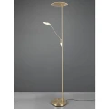 Lampa podłogowa stojąca mosiądz mat / czarny EDMONTON Trio 423010208 4017807478242 lampynox noxbox www.lampynox.pl