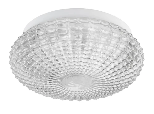 Lampa sufitowa łazienkowa LINCOLN Transparentny 2xE27 IP44 Luces Exclusivas LE42442 noxbox lampynox www.lampynox.pl