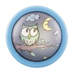 Shepherd kinkiet | plafon Rabalux 4563 