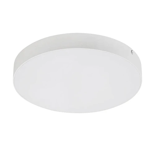 Plafon zewnętrzny Tartu Biała LED śr. 30cm. 24W IP44 Barwa światła zmienna Rabalux 7894  5998250378947 noxbox lampynox www.lampynox.pl 1.jpg