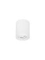 Downlight regulowany CARRIZAL Biały śr. 9,6cm. GU10 Luces Exclusivas LE61427 noxbox lampynox www.lampynox.pl