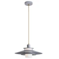 Lampa wisząca Cameron Popielaty E27 Rabalux 4313  5998250343136 noxbox lampynox www.lampynox.pl 1.jpg