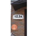 8749 800.jpg