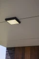 Plafon zewnętrzny HELENA Szary LED 22W szer. 22cm. IP54 4000K Lutec 5102101118 | 6939412011479 noxbox lampynox www.lampynox.pl