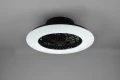 Lampa sufitowa ściemnialna z wentylatorem STRALSUND Czarny mat, LED 30W, Pilot, efekt świecenia gwiaździsty, barwa światła zmienna RL R62522132 | 4017807491098 noxbox lampynox www.lampynox.pl