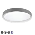 ZETA  Szara DIM 24W 2700 - 6500K Lampa sufitowa RL R62712411 4017807468489 lampynox noxbox www.lampynox.pl