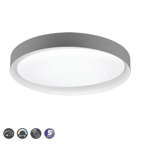 ZETA  Szara DIM 24W 2700 - 6500K Lampa sufitowa RL R62712411 4017807468489 lampynox noxbox www.lampynox.pl