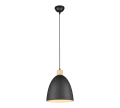 Lampa wisząca JAGGER Czarny mat E27 RL R30681032 | 4017807503197 noxbox lampynox www.lampynox.pl