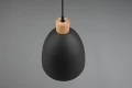 Lampa wisząca JAGGER Czarny mat E27 RL R30681032 | 4017807503197 noxbox lampynox www.lampynox.pl