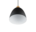 Lampa wisząca JAGGER Czarny mat E27 RL R30681032 | 4017807503197 noxbox lampynox www.lampynox.pl