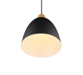 Lampa wisząca JAGGER Czarny mat E27 RL R30681032 | 4017807503197 noxbox lampynox www.lampynox.pl
