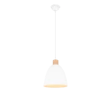 Lampa wisząca JAGGER Biały mat E27 RL R30681031 | 4017807503180  noxbox lampynox www.lampynox.pl