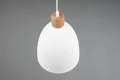 Lampa wisząca JAGGER Biały mat E27 RL R30681031 | 4017807503180  noxbox lampynox www.lampynox.pl