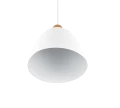 Lampa wisząca JAGGER Biały mat E27 RL R30681031 | 4017807503180  noxbox lampynox www.lampynox.pl
