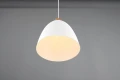Lampa wisząca JAGGER Biały mat E27 RL R30681031 | 4017807503180  noxbox lampynox www.lampynox.pl