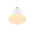 Lampa wisząca JAGGER Biały mat E27 RL R30681031 | 4017807503180  noxbox lampynox www.lampynox.pl