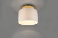 Lampa sufitowa KORBA Biały E27 Trio 601200101 | 4017807502664 noxbox lampynox www.lampynox.pl