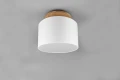 Lampa sufitowa KORBA Biały E27 Trio 601200101 | 4017807502664 noxbox lampynox www.lampynox.pl
