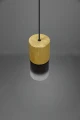 Lampa wisząca ROBIN Mosiądz mat E27 Trio 310600154 | 4017807507478 noxbox lampynox www.lampynox.pl