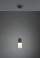 Lampa wisząca ROBIN Czarny mat E27 Trio 310600101 | 4017807504453 noxbox lampynox www.lampynox.pl