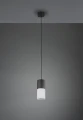 Lampa wisząca ROBIN Czarny mat E27 Trio 310600101 | 4017807504453 noxbox lampynox www.lampynox.pl