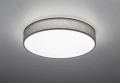 Lampa sufitowa ściemnialna LUGANO Szary śr.60cm DIM PILOT LED 40W 3000-5000K Trio 621914011 | 4017807384475 noxbox lampynox www.lampynox.pl