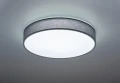 Lampa sufitowa ściemnialna LUGANO Szary śr.60cm DIM PILOT LED 40W 3000-5000K Trio 621914011 | 4017807384475 noxbox lampynox www.lampynox.pl