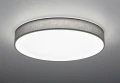 Lampa sufitowa ściemnialna LUGANO Szary śr.75cm DIM PILOT LED 60W 3000-5000K Trio 621915511 | 4017807384499 noxbox lampynox www.lampynox.pl