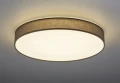 Lampa sufitowa ściemnialna LUGANO Szary śr.75cm DIM PILOT LED 60W 3000-5000K Trio 621915511 | 4017807384499 noxbox lampynox www.lampynox.pl