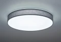 Lampa sufitowa ściemnialna LUGANO Szary śr.75cm DIM PILOT LED 60W 3000-5000K Trio 621915511 | 4017807384499 noxbox lampynox www.lampynox.pl