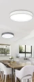 Lampa sufitowa ściemnialna LUGANO Szary śr.75cm DIM PILOT LED 60W 3000-5000K Trio 621915511 | 4017807384499 noxbox lampynox www.lampynox.pl