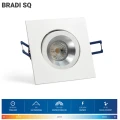 BRADI 800.jpg