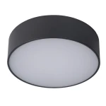ROXANE Antracyt śr. 25cm. LED 10W 2700K IP54 Plafon łazienkowy okrągły Lucide 27815/10/29
