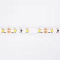 Taśma LED SMD2835 60szt./1m 1500lm 24W 12V IP20 CW 6500K zimna - 5m. Eco Light EC79016 | 5901986790167 noxbox lampynox www.lampynox.pl