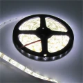 Taśma LED 60szt./1m 1500lm 24W 12V IP63 NW 4000K biała - 5m. Eco Light EC79351 | 5901986793519 noxbox lampynox www.lampynox.pl