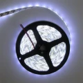 Taśma LED 60szt./1m 1500lm 24W 12V IP63 CW 6500K zimna - 5m. Eco Light EC67709 | 5902596677091 noxbox lampynox www.lampynox.pl