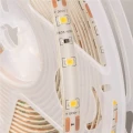 Taśma LED 60szt./1m 1500lm 24W 12V IP63 CW 6500K zimna - 5m. Eco Light EC67709 | 5902596677091 noxbox lampynox www.lampynox.pl