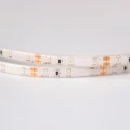 Taśma LED 60szt./1m 24W 12V IP63 Czerwona - 5m. Eco Light EC79347 | 5901986793472 noxbox lampynox www.lampynox.pl