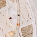 Taśma LED 60szt./1m 24W 12V IP63 Czerwona - 5m. Eco Light EC79347 | 5901986793472 noxbox lampynox www.lampynox.pl