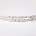 Taśma LED 60szt./1m 12V 72W IP63 RGB Multikolor - 5m. Eco Light EC79368 | 5901986793687 noxbox lampynox www.lampynox.pl