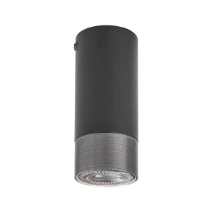 Zircon czarny mat | srebrny GU10 Downlight