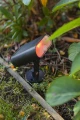 Reflektor ogrodowy GINBO LED 7W Bluetooth RGB 2700-6500K IP54 Lutec 6938405330 | 6939412013640 noxbox lampynox www.lampynox.pl