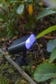 Reflektor ogrodowy GINBO LED 7W Bluetooth RGB 2700-6500K IP54 Lutec 6938405330 | 6939412013640 noxbox lampynox www.lampynox.pl