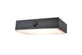 Kinkiet zewnętrzny solarny FADI sterowany aplikacją, LED 5W czujnik PIR IP44 2700-6500K Lutec 6939501330 | 6939412013657 noxbox lampynox www.lampynox.pl