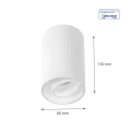Downlight regulowany CHLOE biała Ø 8cm GU10 Spectrum SLIP004008 | 5902650587328 noxbox lampynox www.lampynox.pl